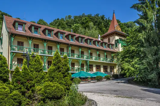 Hotel Bakony - Kedvezmnyes r flpanzival (min. 3 j)